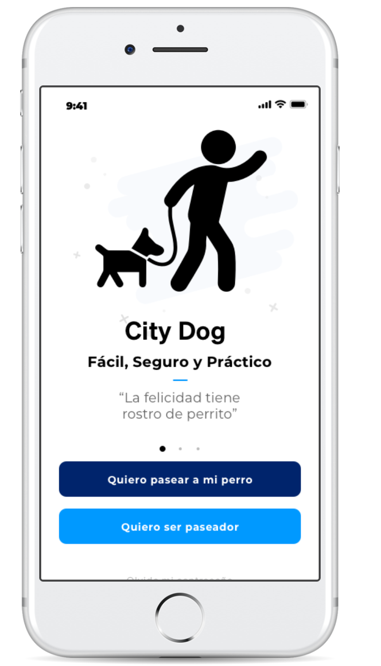 Walking Dog app — business model canvas and research