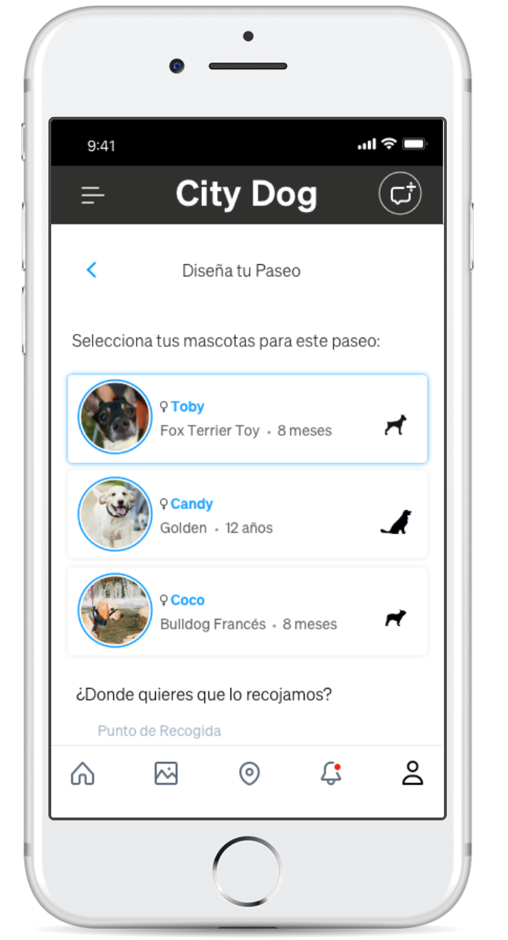 Walking Dog app — UX flows and wireframes
