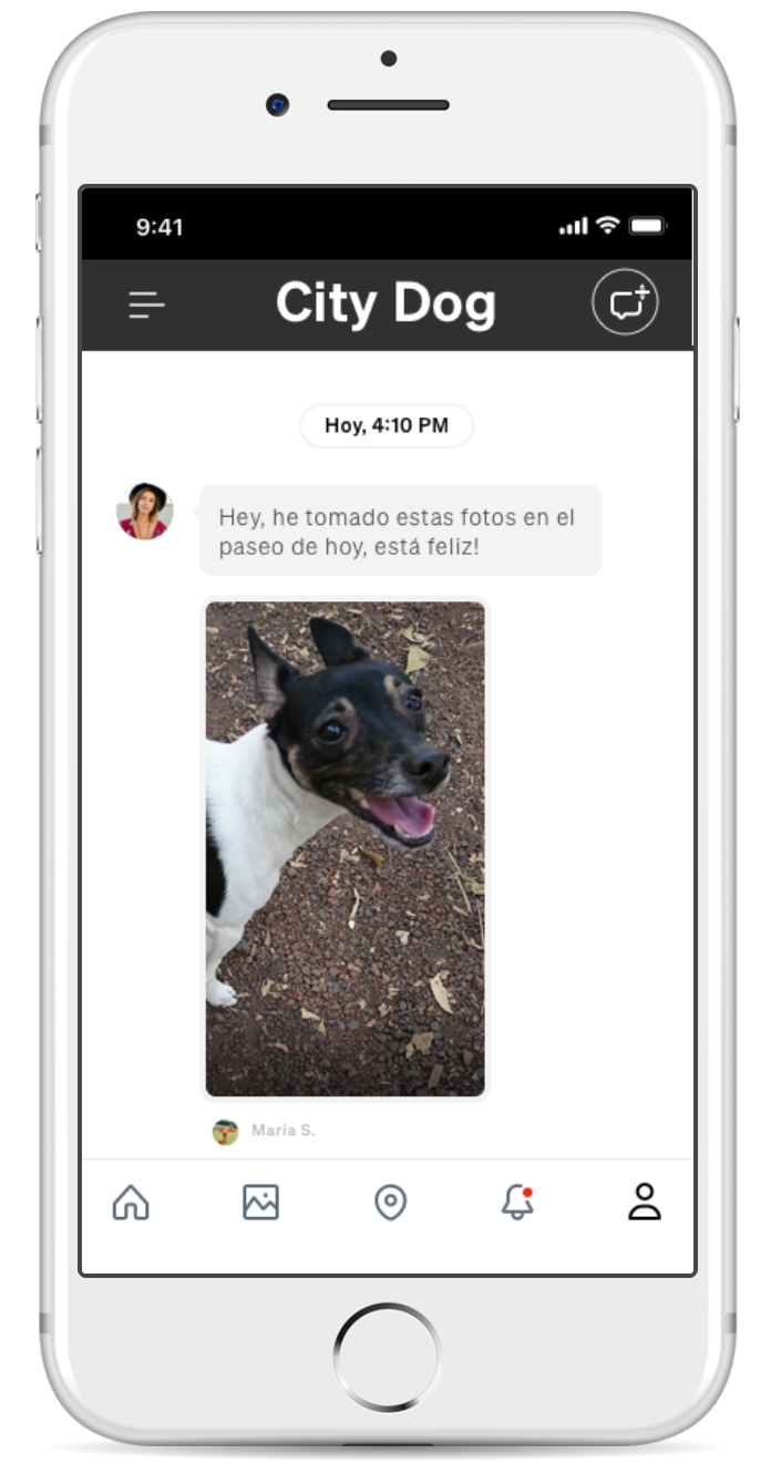 Walking Dog app — interface design